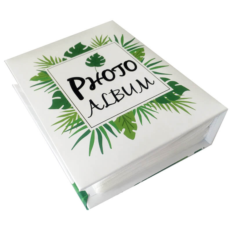 Album Simple Plastic book 100 photos 10x15cm